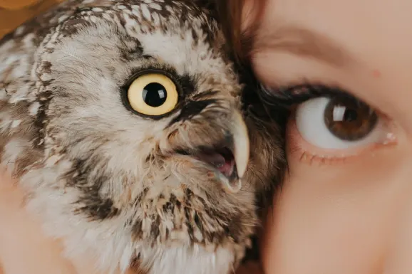 Betitall Kazino Atbalsts